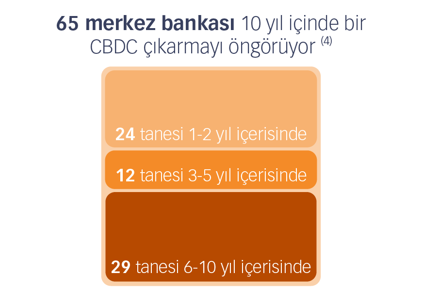 65 merkez bankası 10 yıl içinde bir CBDC çıkarmayı öngörüyor (4)